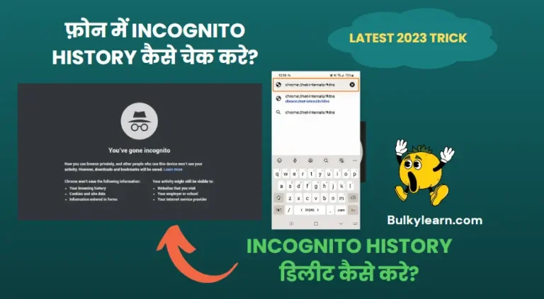 Incognito History Kaise Check Kare